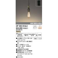 安心のメーカー保証 オーデリック照明器具 ペンダント OP252613LC （ランプ別梱包）『OP252613#＋NO271C』  LED Ｔ区分 | 暮らしの照明