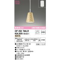 【インボイス対応店】オーデリック照明器具 ペンダント OP252784LR （ランプ別梱包）『OP252784#＋NO293E』  LED | 暮らしの照明