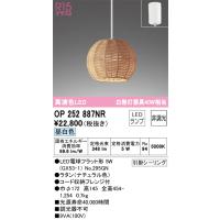 安心のメーカー保証 オーデリック照明器具 ペンダント OP252887NR （ランプ別梱包）『OP252887#＋NO295GN』  LED Ｔ区分 | 暮らしの照明