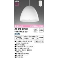 【インボイス対応店】オーデリック照明器具 ペンダント OP252915NR （ランプ別梱包）『OP252915#＋NO295GN』  LED | 暮らしの照明
