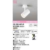 【インボイス対応店】オーデリック照明器具 スポットライト OS256497LR （ランプ別梱包）『OS256497#＋NO257EL』  LED | 暮らしの照明