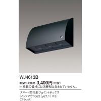 安心のメーカー保証 【インボイス対応店】パナソニック オプション WJ4613B  実績20年の老舗 | 暮らしの照明