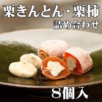スイッチで紹介 岐阜県 中津川 栗きんとん 4個 栗柿4個入 合計8個入 誕生日祝い お祝い ギフト 内祝い お供え スイーツ 和菓子 お菓子 お取り寄せ | くり屋南陽軒 ヤフー店