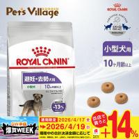 ロイヤルカナン CCN ミニ ステアライズド 小型犬 避妊・去勢犬用 10ヵ月齢以上 800g [ドッグフード] 認定オンラインショップ | ペッツビレッジクロスヤフー店