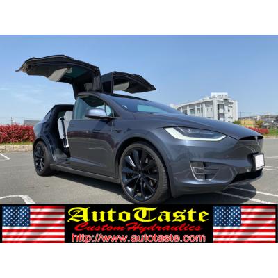 テスラ モデルx ヒッチメンバー（車、バイク、自転車）のおすすめ人気 