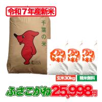 玄米専用 令和6年千葉県産 特産いすみ米ふさこがね30kg 新米 令和7年産 ふさこがね 30kg 米 お米 玄米食でも安心の選別