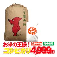 米 お米 10kg 令和1年産 コシヒカリ　白米 玄米　発送可能　送料無料 