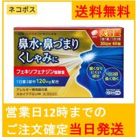 【第2類医薬品】スカイブブロンHI 30日分60錠 花粉などによる 鼻水・鼻づまり・くしゃみ 鼻炎用内服薬 「アレグラ」のジェネリック（後発品）【ネコポス配送】 | くすりのマーサ薬局