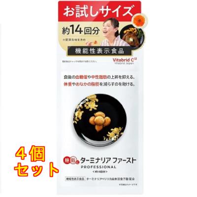 ターミナリアファーストのおすすめ人気商品一覧 通販 - Yahoo!ショッピング