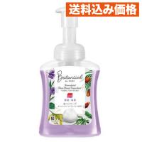 ミューズ 薬用せっけん 泡ハンドソープ ボタニカル 本体 ボトル 250mL | クスリのアオキhappy ヤフー店