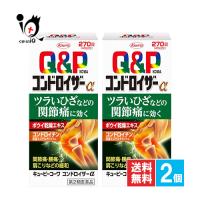 関節痛 神経痛 キューピーコーワ コンドロイザーα 270錠×2個セット 第2類医薬品 Kowa 脚気 ビタミンB1 肩 腰 肉体疲労 | くすりのiQ Yahoo!店
