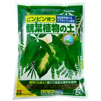 花ごころ 観葉植物の土 (5L) ガーデニング用品 | くすりの福太郎