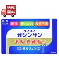 【第2類医薬品】恵命我神散S 散剤タイプ 120包 二日酔い、飲みすぎ | KAWARAYAヤフーショッピング店