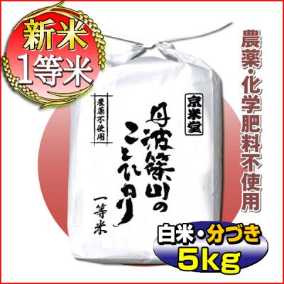 兵庫丹波産コシヒカリのおすすめ人気商品一覧 通販 - Yahoo!ショッピング