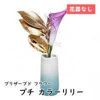● プチ カラーリリー 花器なし [P-003] A&amp;K プリザーブド フラワー 送料無料 75749 | 京都のちょっとセレブなお店