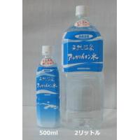 長島温泉 天然温泉 アルカリイオン水 ２リットル × ６本    （三重県桑名市長島町 鈴木鉱泉 ナガシマ アルカリ水 ミネラルウォーター ） | 共和ギフトショップ