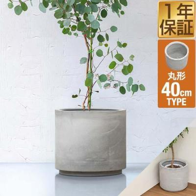 大型植木鉢　丸型　1 丸型プランター 大型（園芸用品） | 花、ガーデニング のおすすめ人気