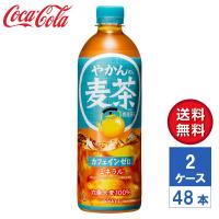 【メーカー直送】やかんの麦茶 from 爽健美茶 650ml PET 2ケース(48本入)【送料無料】 | LaBLOOM ヤフーショッピング店