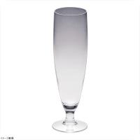 ピルセン ピルスナー ６２０cc（６ヶ入） ２８７９４（１１８２５） | スタイルキッチン