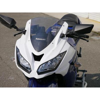 ninja250r カウル（バイク用 フロントカウル、マスク）｜外装パーツ