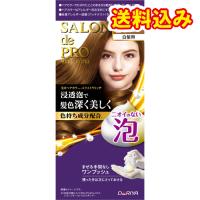 【医薬部外品】サロンドプロ　泡のヘアカラー　エクストラリッチ　白髪用　クリアブラウン　2※取り寄せ商品　返品不可 | くすりのレデイハートショップplus