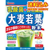 山本漢方　乳酸菌大麦若葉粉末100%　お徳用　（4g×30包） | くすりのレデイハートショップplus