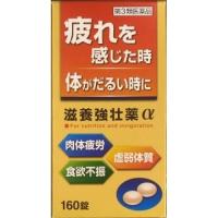 【第3類医薬品】皇漢堂　滋養強壮薬α　160錠 | くすりのレデイ Online-Y-store