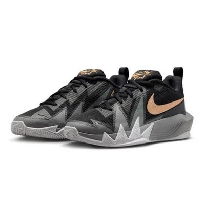 バスケシューズ NIKE Jordan 22.5 箱とステッカー付 NIKE バスケットボール用品（サイズ（cm）：22.5cm）｜スポーツ
