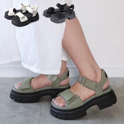 ugg サンダル（レディースシューズ）（色：カーキ系）の商品一覧  