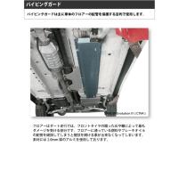 ARP SPORT フロントパイピングガード ホンダ フィット [GE8] 【A54206FP】 | レイルモータースポーツ