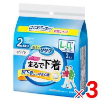 花王 リリーフ パンツタイプ まるで下着 L-LL2枚入 ×3個 セット販売 | Arclands Online 2号館 ヤフー店