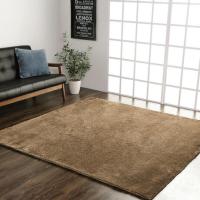 シャギー調ラグ ラルジュ 200×250cm ベージュ 柔らかいタッチの長毛ラグ 「メーカー直送・代引不可・置配不可・配送地域限定」 | Arclands Online ヤフー店