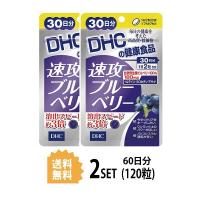 2パック  DHC 速攻ブルーベリー 30日分 ×2パック（120粒） ディーエイチシー  サプリメント ビルベリー ルテイン サプリ | SUGARTIME