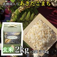 3セット 乳酸菌 あきたこまち 一等米 玄米 2kg お米 玄米 ごはん 国産米 秋田 アキタコマチ 健康 プレゼント ギフト 贈り物 農家直送 | SUGARTIME