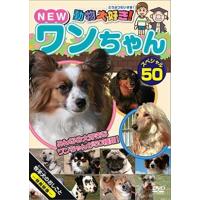 動物大好き！ＮＥＷワンちゃんスペシャル DVD※同梱発送8枚迄OK！ 6b-3107 | LAND BOOKS ヤフー店