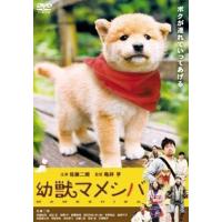 幼獣マメシバ DVD※同梱発送8枚迄OK！ 6b-3287 | LAND BOOKS ヤフー店