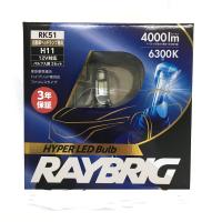 RAYBRIG(レイブリック)LEDヘッドライトランプ H11 6300K RK51 | Lanihonua