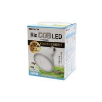 カミハタ RioCOB(リオコブ) LED 12W クールホワイト(淡水&amp;amp;水草用) | LANUI