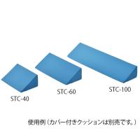 ナビス 体位固定クッション1000mm用 交換カバー 8-8680-12 | 機械工具のラプラス