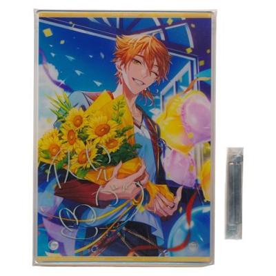 伏見ガク（コレクション、趣味） | 楽器、手芸、コレクション の