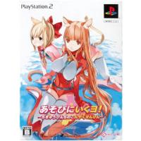 プレイステーション2用ソフト（パッケージ種類：限定版