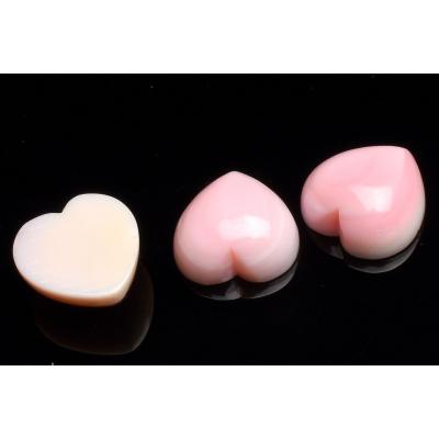コンク貝殻2個セット コンク貝殻2個セット コンク貝殻2個セット 楽天市場】貝殻（道具