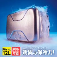 ハイパー氷点下クーラーsl クーラーボックス 小型 キャンプ シルバー ロゴス Logos あんしんの殿堂 防災館 通販 Yahoo ショッピング