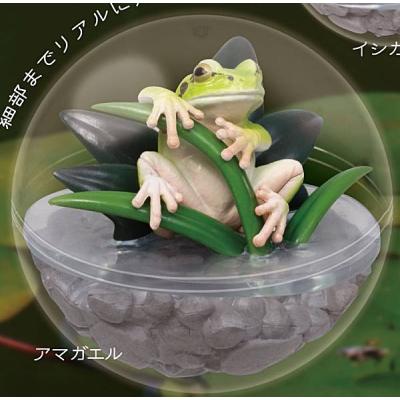 カエル お菓子の商品一覧 通販 - Yahoo!ショッピング