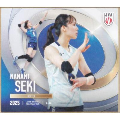 バレーボール色紙のおすすめ人気商品一覧 通販 - Yahoo!ショッピング