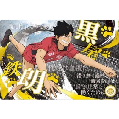 ハイキューウエハースのおすすめ人気ランキングTOP100 - Yahoo