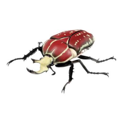 カナブンのおすすめ人気商品一覧 通販 - Yahoo!ショッピング