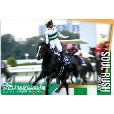 サラブレッドホースコレクション第3R 未開封BOX 12個セット BOX〕バンダイ サラブレッドホースコレクション ツインウエハース 第3R