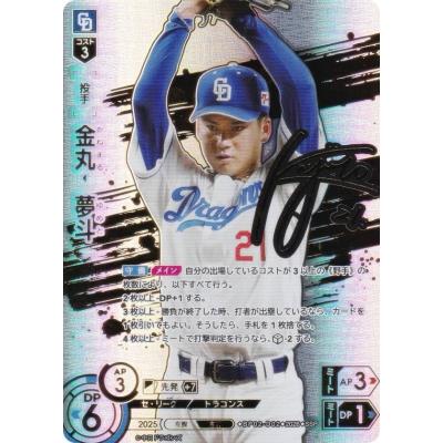 中日ドラゴンズ（トレーディングカード） | ゲーム、おもちゃ の