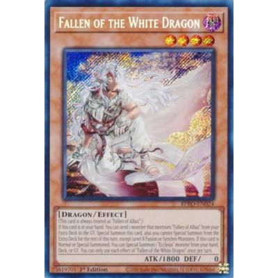 遊戯王 英語版のおすすめ人気商品一覧 通販 - Yahoo!ショッピング